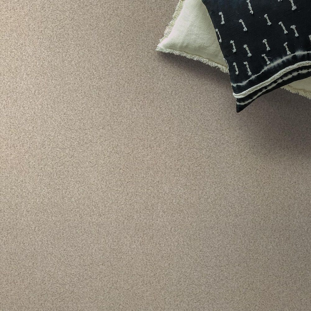 Shaw Tonal Comfort I Carpet in Dinner With Friends, , large