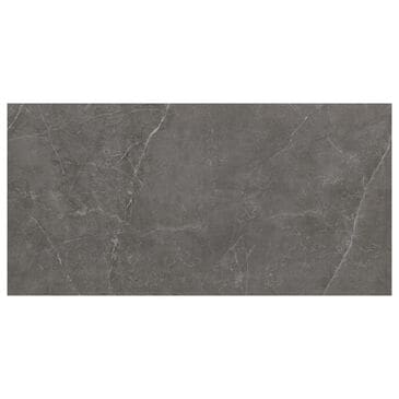 Emser Sterlina II Asphalt 12" x 24"Polished Tile, , large