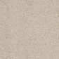 Anderson Tuftex Barracan Classic II Carpet in Suede, , large