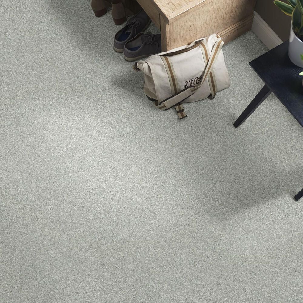 Shaw Find Your Comfort NS II Carpet in Distant Valley, , large