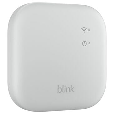 Blink Sync Module XR in White, , large