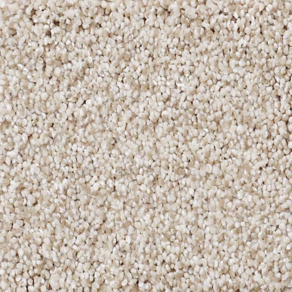 Shaw Foundations Take The Floor Tonal I Carpet in Fantasy, , large