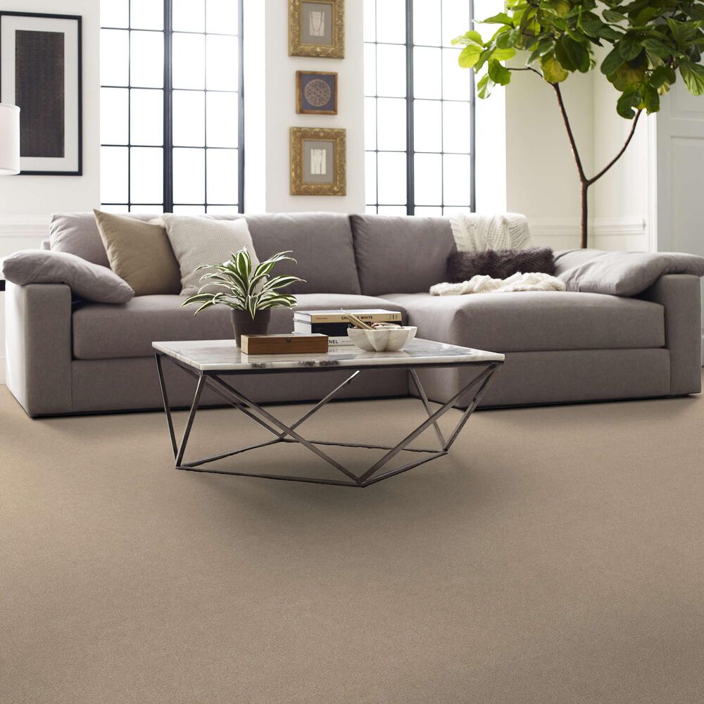 Shaw Your Comfort I Carpet in Walk On The Beach, , large