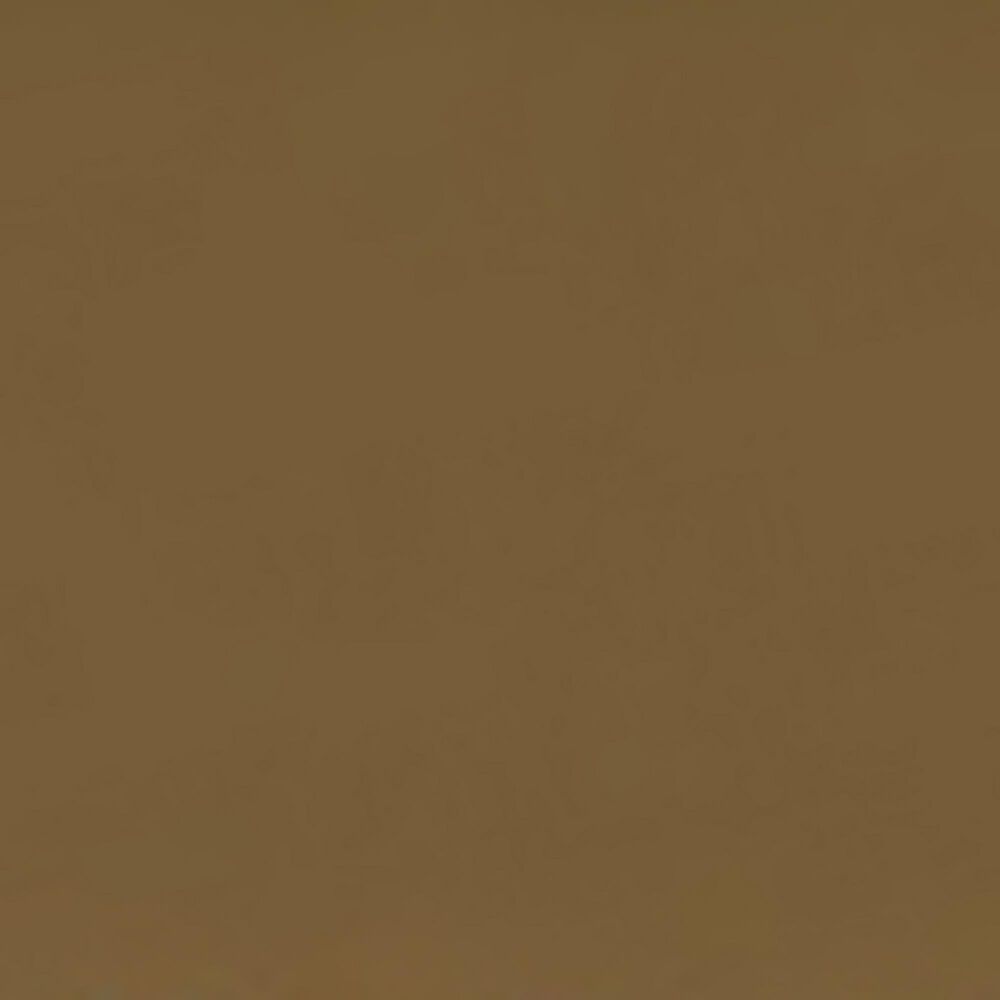 Furniture of America Wren Full Spindle Kids Bed in Gold, , large