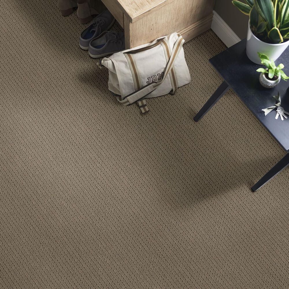 Anderson Tuftex San Lucas Carpet in Shingle, , large