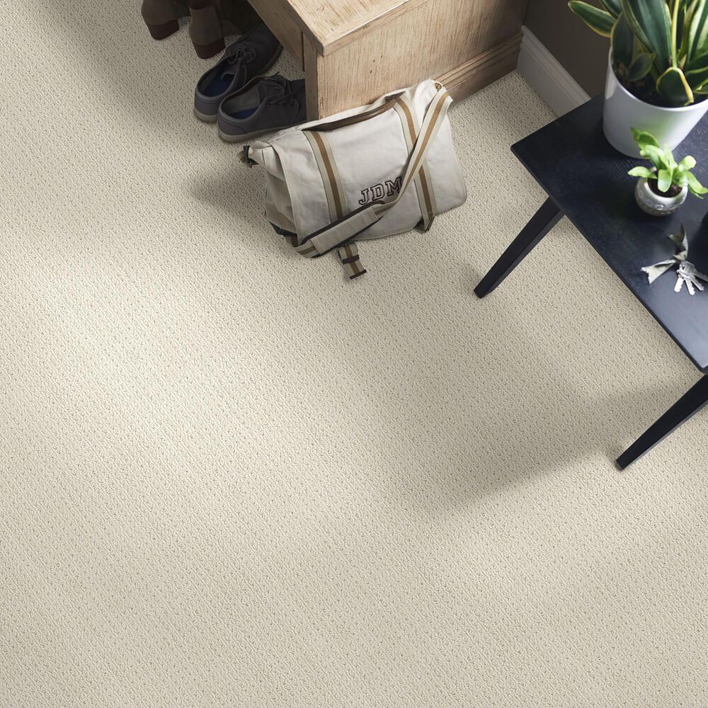 Anderson Tuftex San Lucas Carpet in Natural, , large