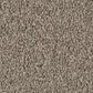 Philadelphia Champagne Taste II Carpet in Plaza Taupe, , large