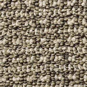 Anderson Tuftex Fetch Carpet in Desert Palm, , large