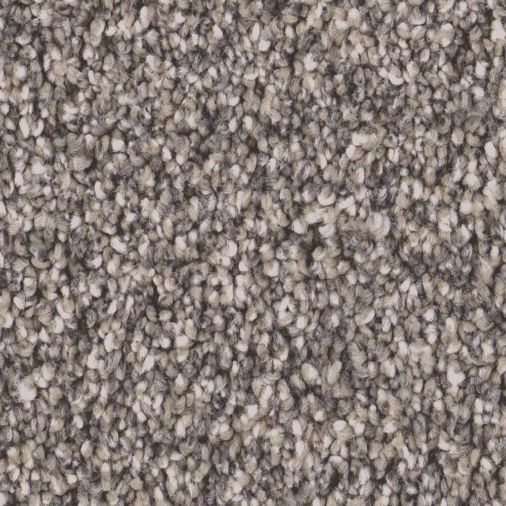 Shaw Grand Influence I Carpet in Earth Tone, , large