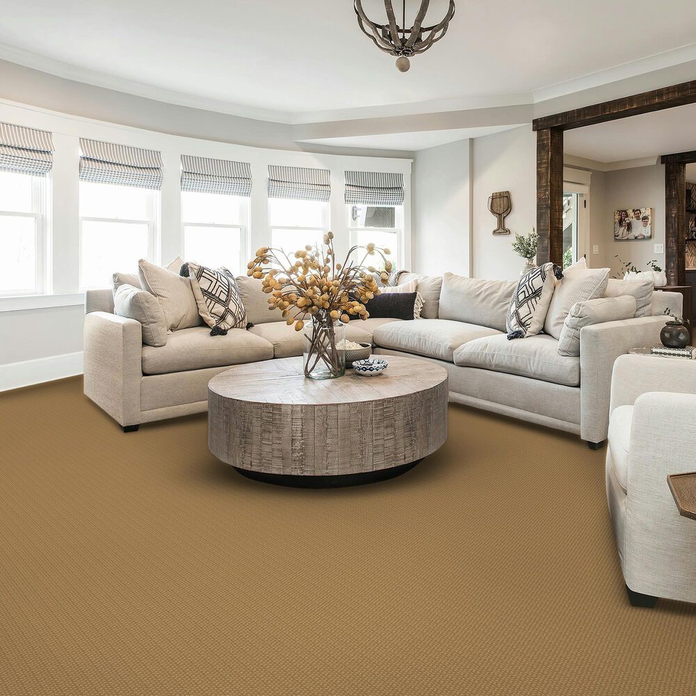 Karastan Greenwich Spirit Carpet in Ferris, , large
