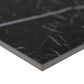 MS International Regallo Marquina Noir 24" x 24" Polished Porcelain Tile, , large