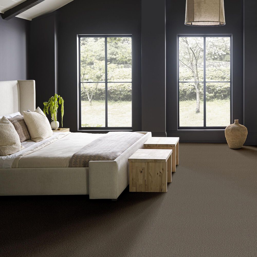 Anderson Tuftex Wyndham Estate Carpet in Sable, , large