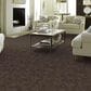 Anderson Tuftex Caress Free Spirit Carpet in Ridgeview, , large