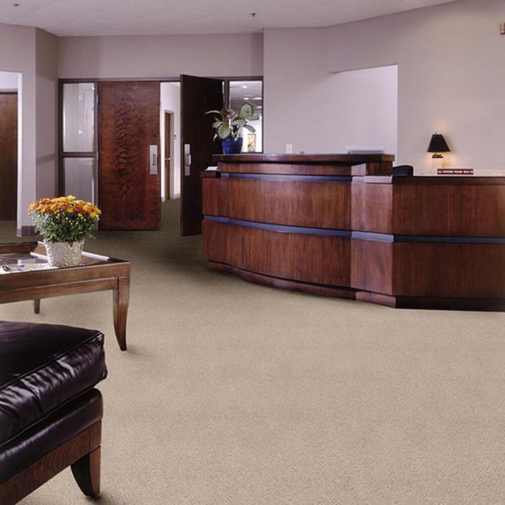 Shaw Legend Falls Carpet in Sun Valley, , large