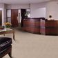 Shaw Legend Falls Carpet in Sun Valley, , large