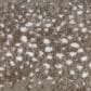 Fabrica Habitat Carpet in Woodlands, , large