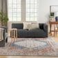 Nourison Astra Machine Washable ASW11 9" x 12" Denim and Multicolor Area Rug, , large