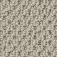 Anderson Tuftex Gracious Carpet in Pumice Stone, , large