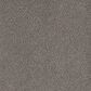 Dream Weaver Beach Club III Carpet in Encore, , large