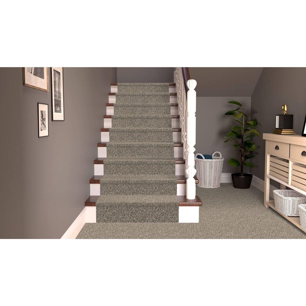 Dixie Home Simplicity Carpet in Yosemite, , large
