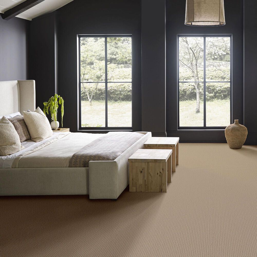 Anderson Tuftex Rhode Carpet in Cork, , large
