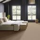 Anderson Tuftex Rhode Carpet in Cork, , large