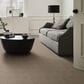 Anderson Tuftex Diego Carpet in Broken Arrow, , large