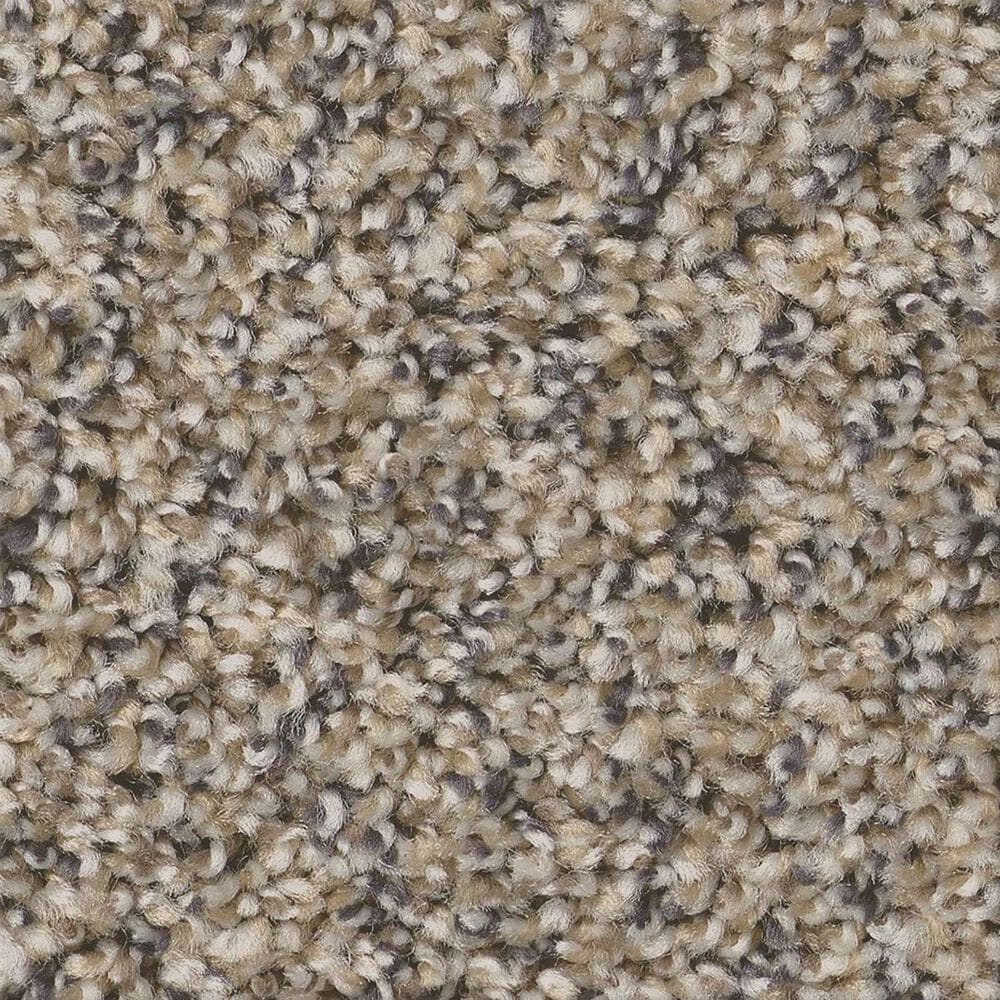 Shaw Always Right II Carpet in Cork, , large