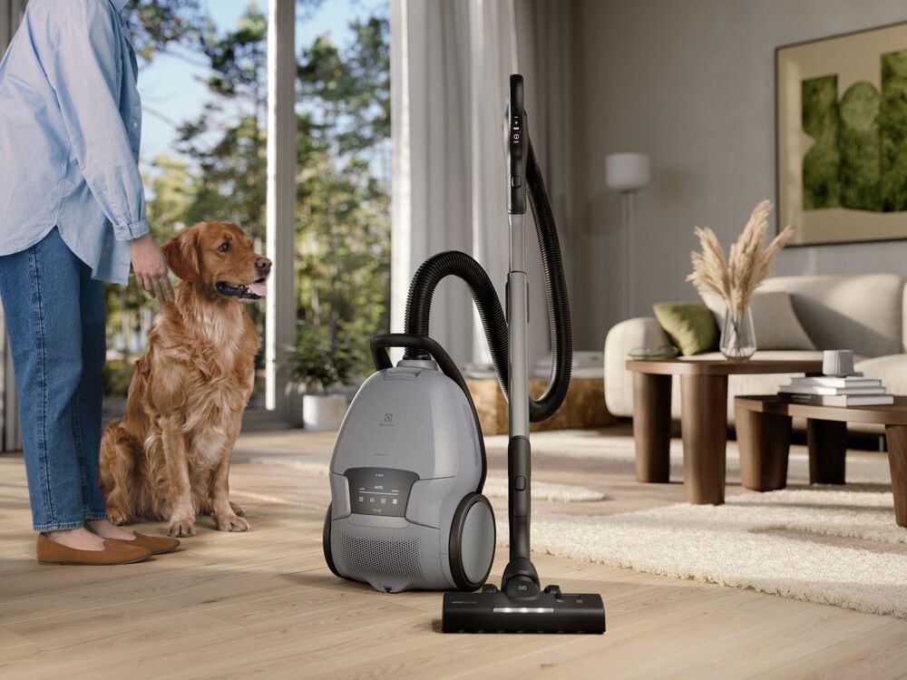 Electrolux Ultimate800 Bagged Canister Vacuum in Urban Grey, , large