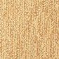 Masland Mesa Verde Carpet in Copper, , large