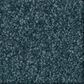 Shaw Comforting I Carpet in Tailwind, , large