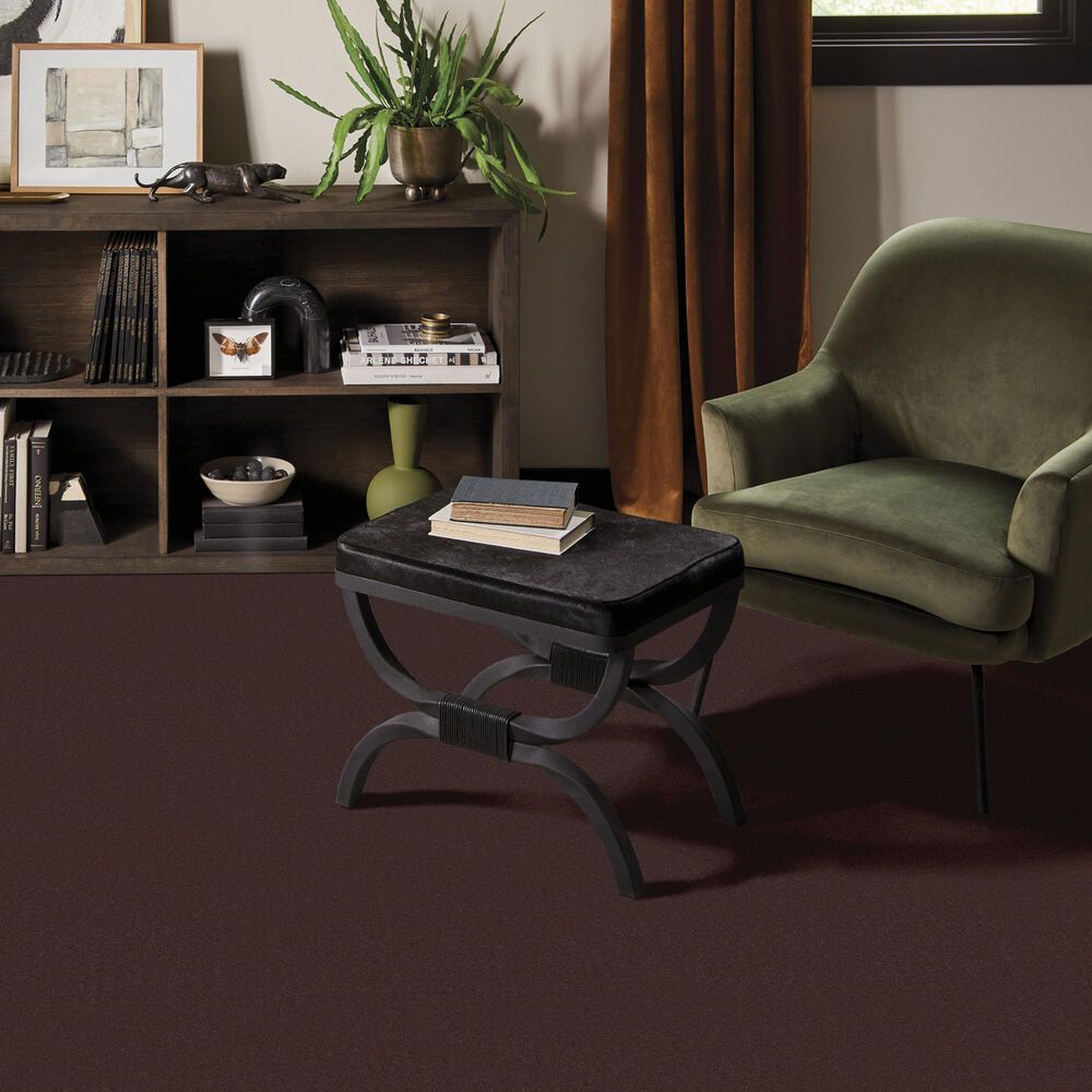 Anderson Tuftex Finery Carpet in Coffee Bean, , large