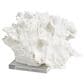 Maple and Jade Coral Decorative Sculpture in Textured White and Clear, , large