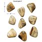 Uttermost Pebbles 5" x 6" Wood Wall Decor in Natural Blonde (Set of 9), , large