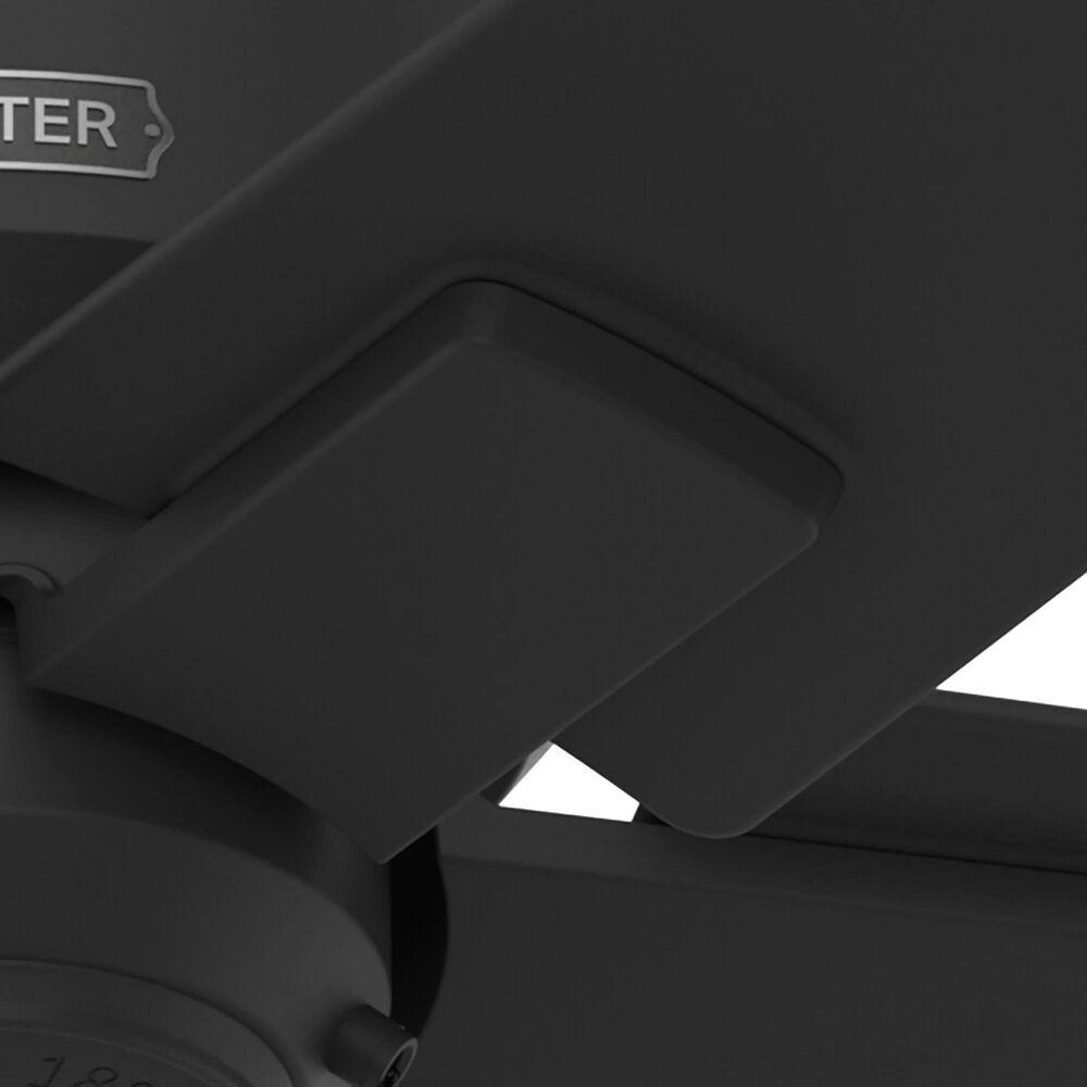 Hunter Terrace 44&quot; Outdoor Ceiling Fan in Matte Black, , large