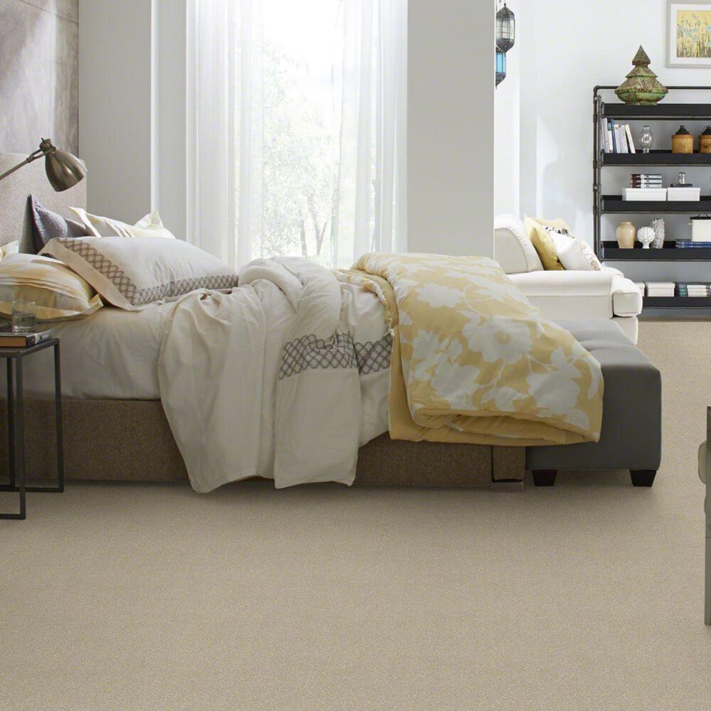 Philadelphia Basic Rules Carpet in Vicuna, , large