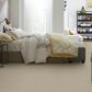 Philadelphia Basic Rules Carpet in Vicuna, , large