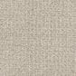 Masland Offspring Carpet in In-Corgnito, , large
