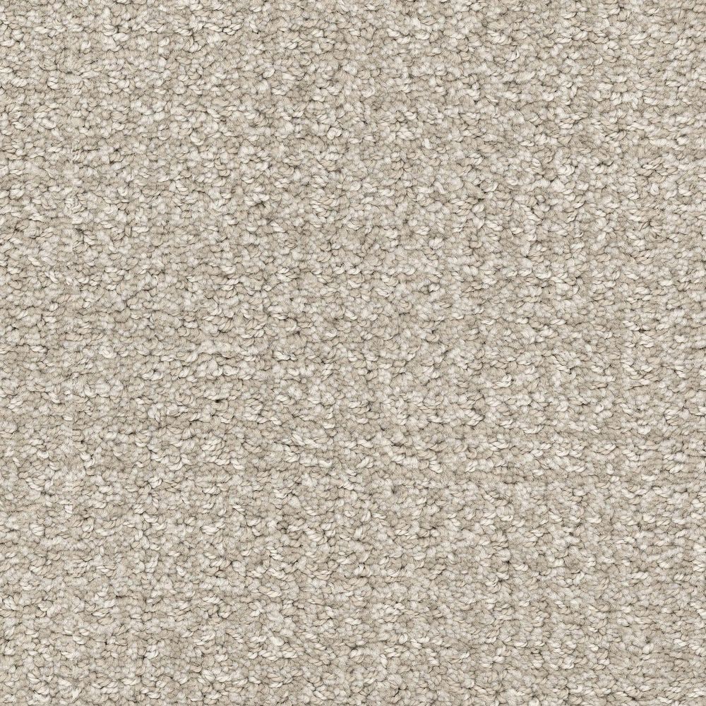 Masland Offspring Carpet in In-Corgnito, , large