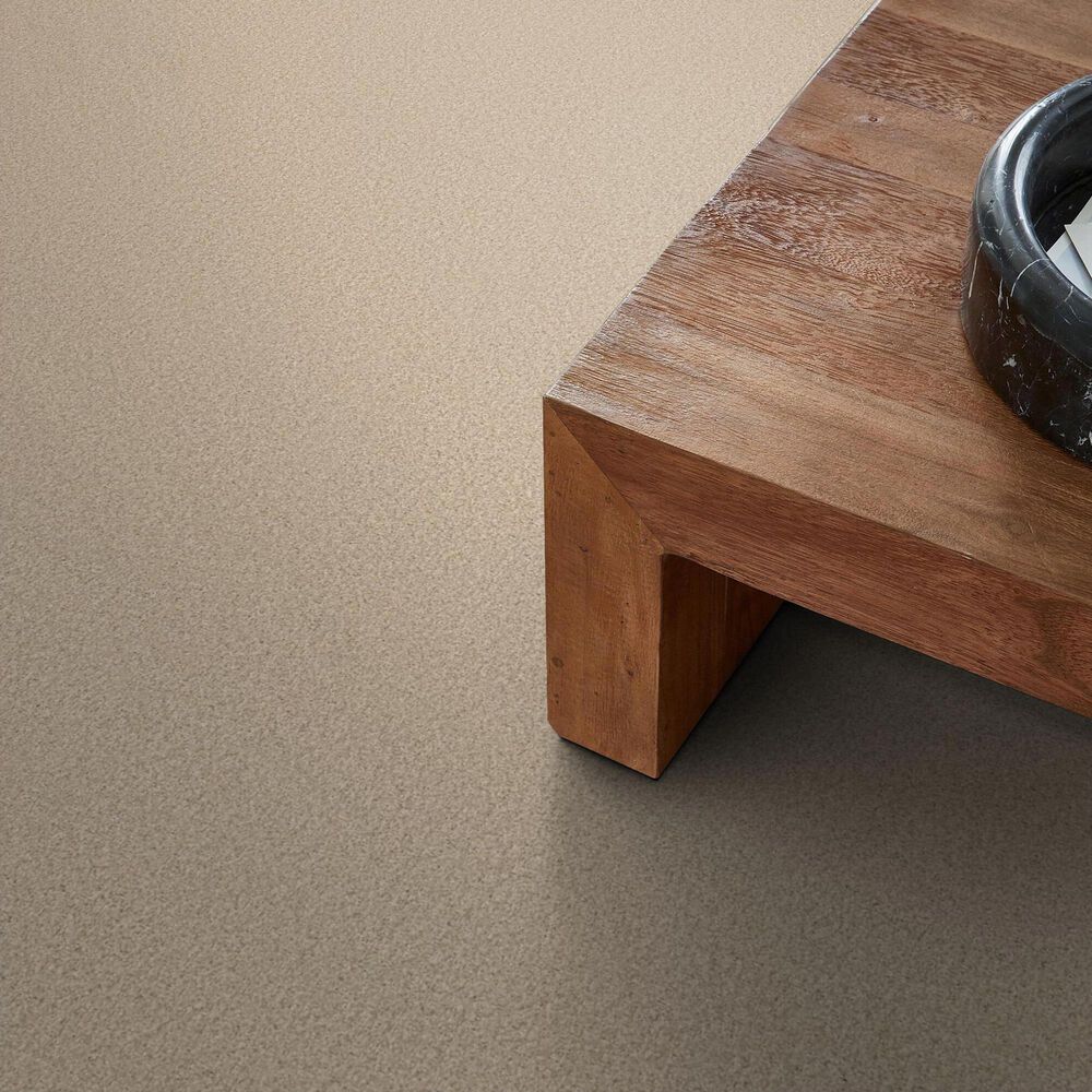 Anderson Tuftex Fabulous Carpet in Risotto, , large