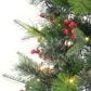 The Gerson Company 6" Potted Pre-Lit Hard Needle Douglas Pine with White LED in Green, , large