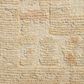 Loloi Emilia 2"6" x 8"6" Ivory and Clay Runner, , large