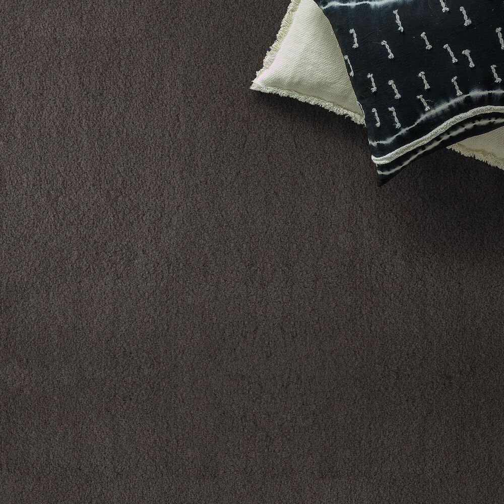 Anderson Tuftex Luxe Feel II Carpet in Armory, , large