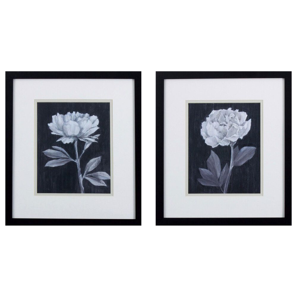 Propac "Black White Flowers" Wall Art in Black & White (Set of 2), , large