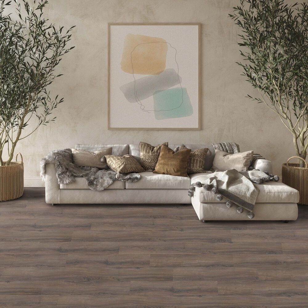Paramount Alpine Nova Scotia 8&quot; x 47&quot; Laminate, , large