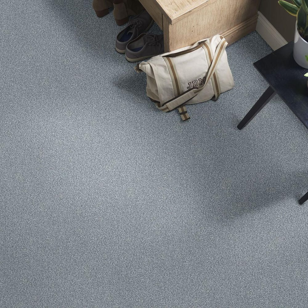 Shaw Find Your Comfort TT II Carpet in Dolphin Sighting, , large