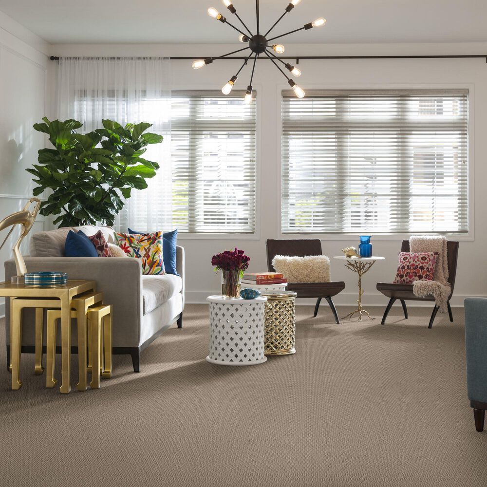 Shaw Loop De Loop Carpet in Natural Wood, , large