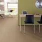 Anderson Tuftex Mera Carpet in Golden, , large