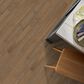 Anderson Tuftex European Ash Biscotti Engineered Hardwood, , large