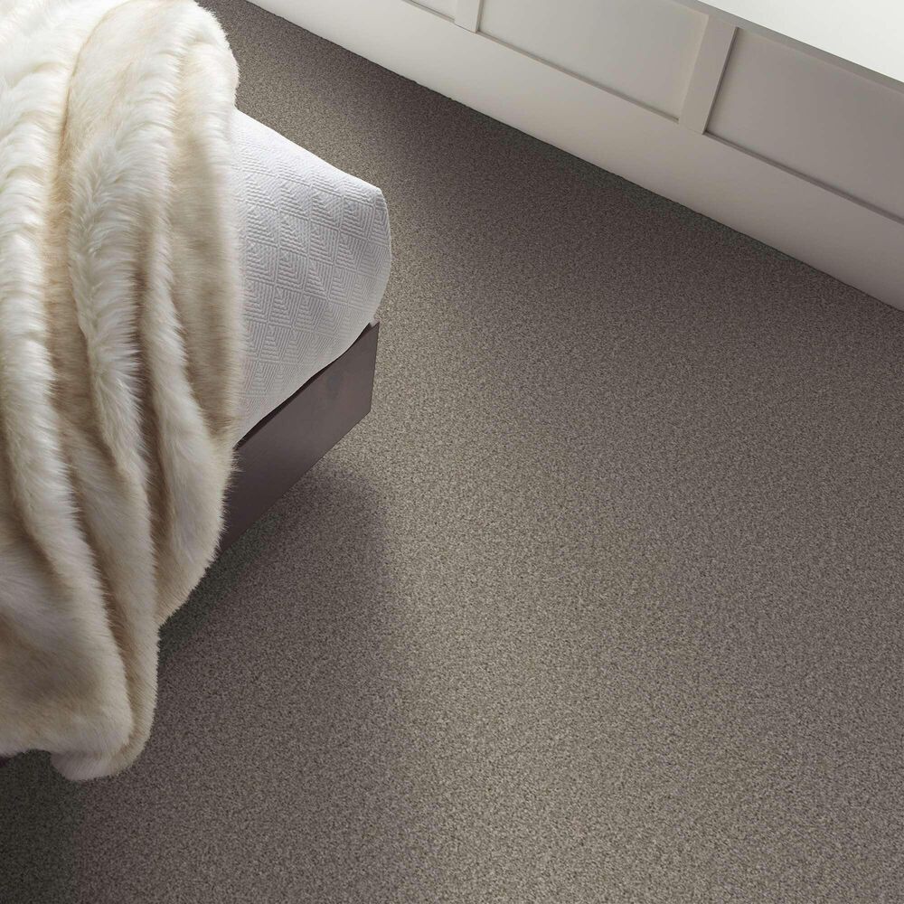 Shaw Always Right II Carpet in Cottage, , large